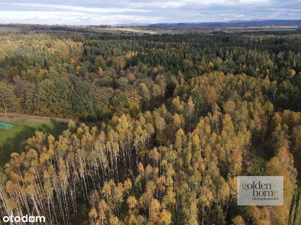 ⭐️Brzozowy Gaj⭐️działki na Przedgórzu Izerskim-4