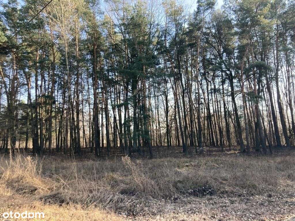 Pęclin, gm. Wiązowna, 3500 m2-10