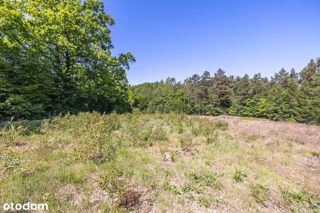 Działka budowlana I Kaszuby I Mpzp I Rzeka i las - Pełny obrazek: 4/6