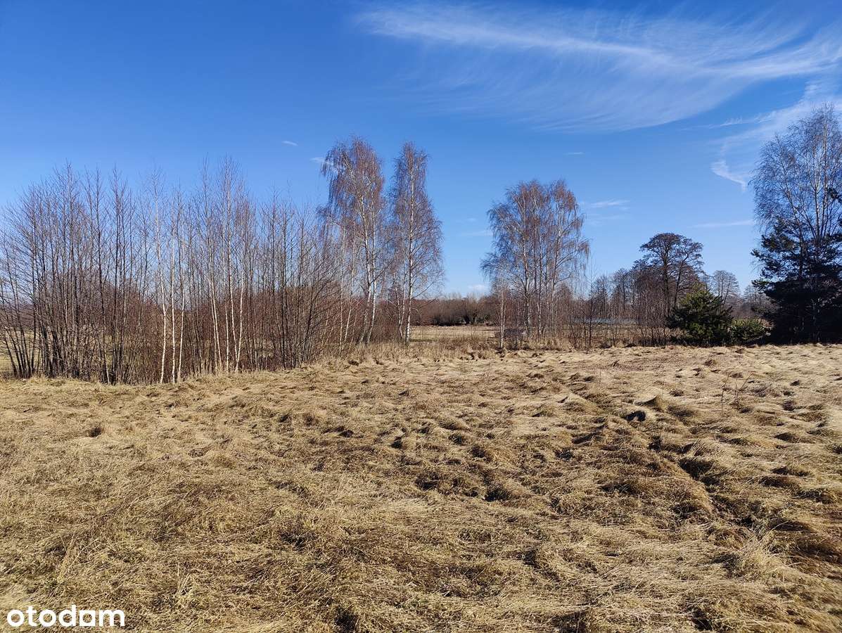 Na sprzedaż duża działka  w sąsiedztwie lasu i łąk-gm. Krzymów-5