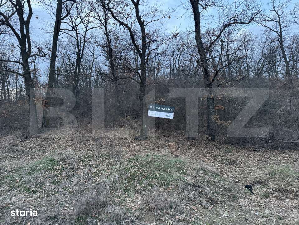 Oportunitate! 5 hectare Padure, Satul de Vacanta, parcelabil, Podari - Imagine principală: 3/5