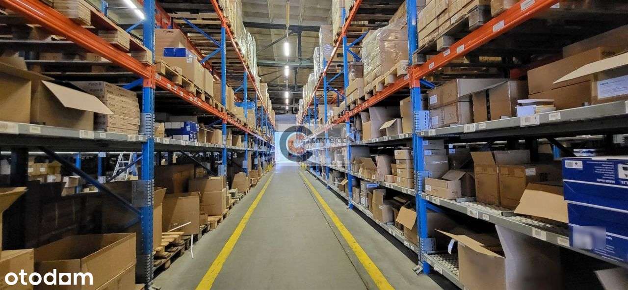 Hala magazynowo z placem składowym - Pełny obrazek: 4/13