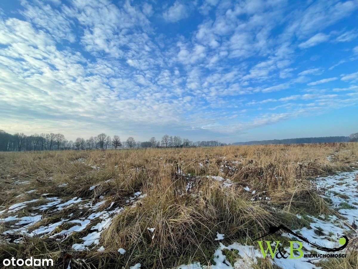 Działka rolna w Połomi - Pełny obrazek: 5/5