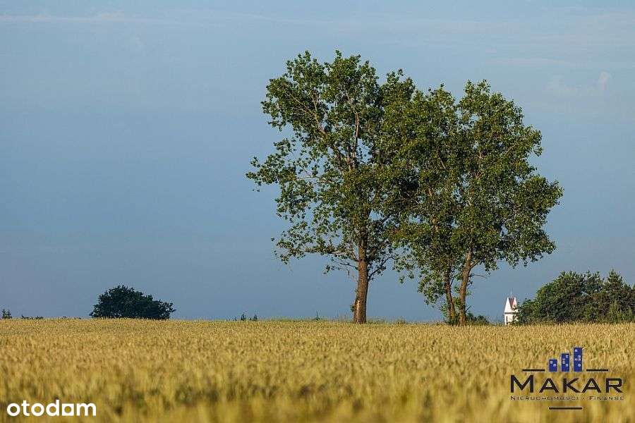 Działka budowlana blisko Opola - Pełny obrazek: 4/9