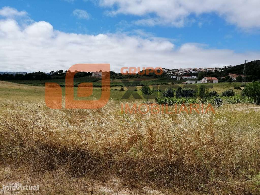 Terreno Rústico com quase 3 hct. plano- Zona de Óbidos! - Grande imagem: 2/6