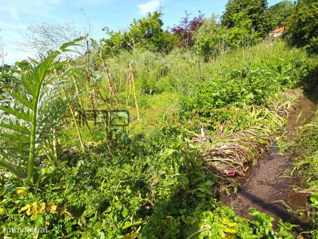 Quinta Tradicional com Terreno Plano e Ribeiro - A 22 min. do Porto-16
