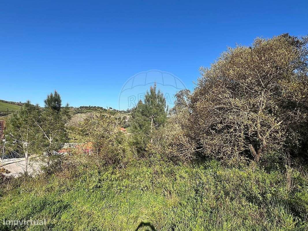 Terreno  para venda - Grande imagem: 4/14