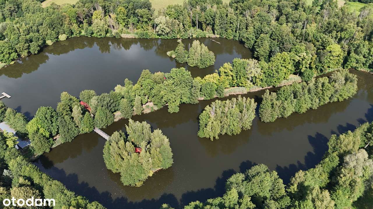 Osada Jagodowa | Kompleks działek budowlanych w środku lasu - Pełny obrazek: 5/10