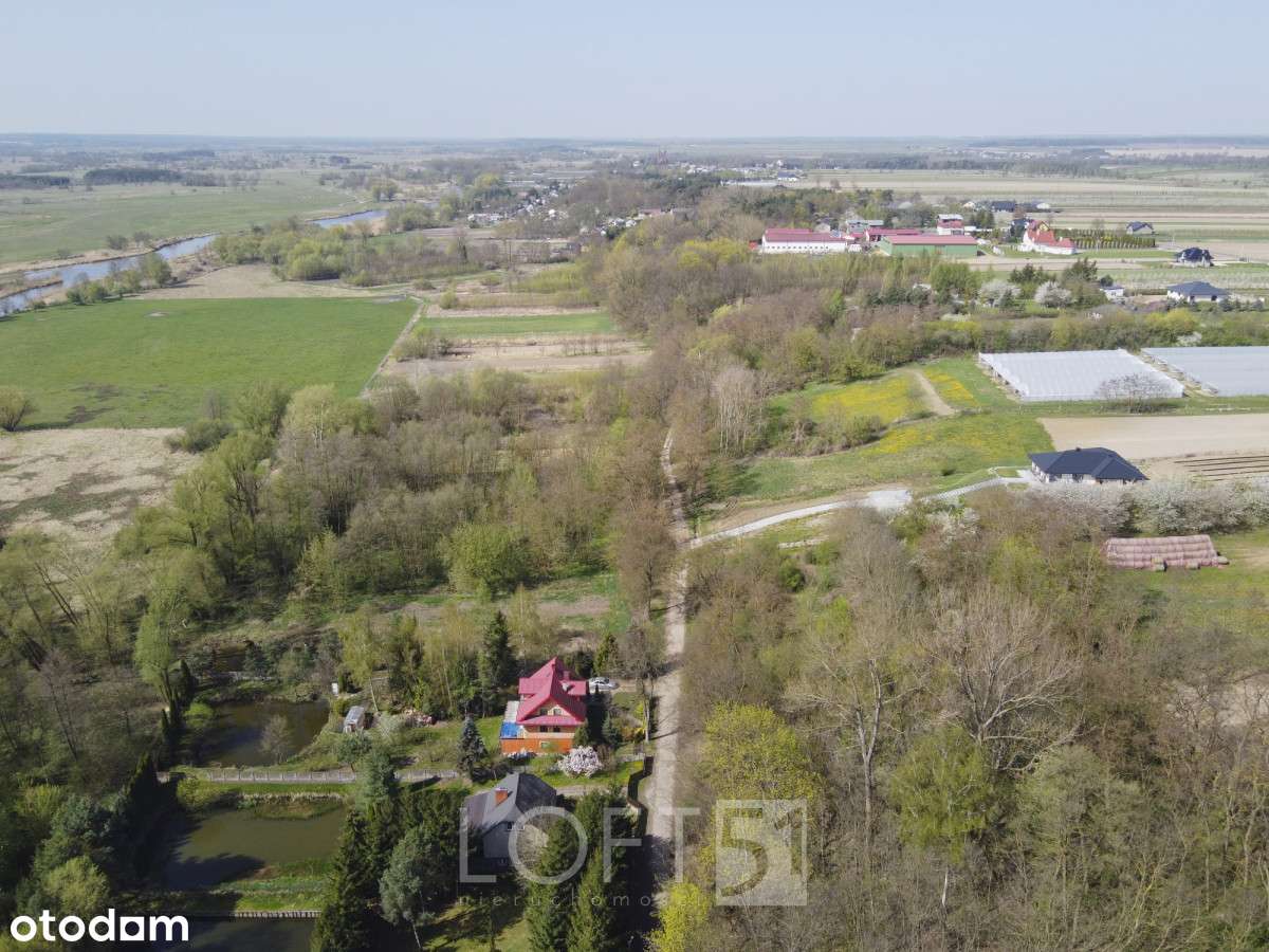 Działka nad Pilicą, Pacew - Pełny obrazek: 5/8