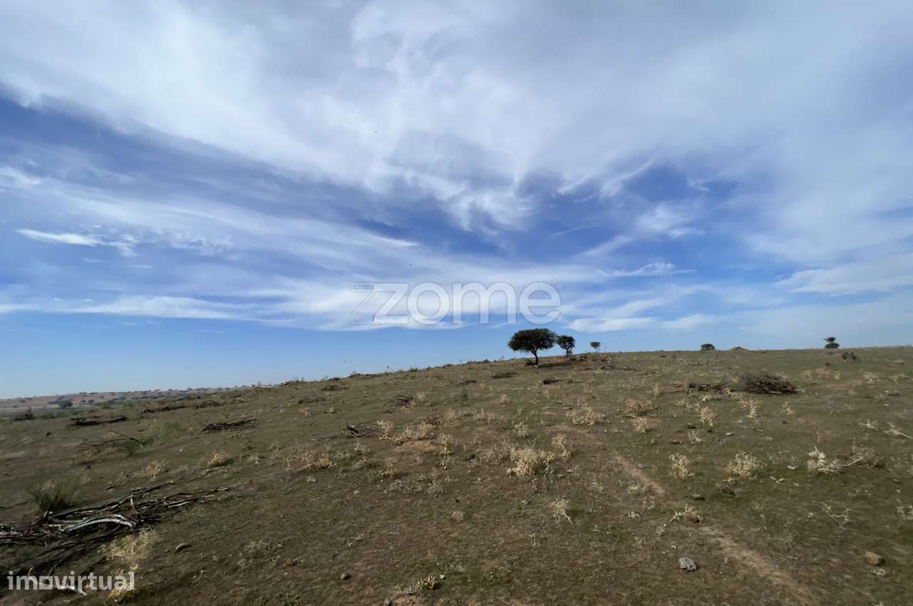 Terreno em Monsaraz - Grande imagem: 4/7