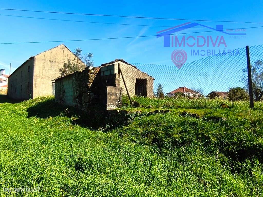 Quinta com mais de um héctar de terreno, em Graça, Pedrogão Grande - Grande imagem: 2/25