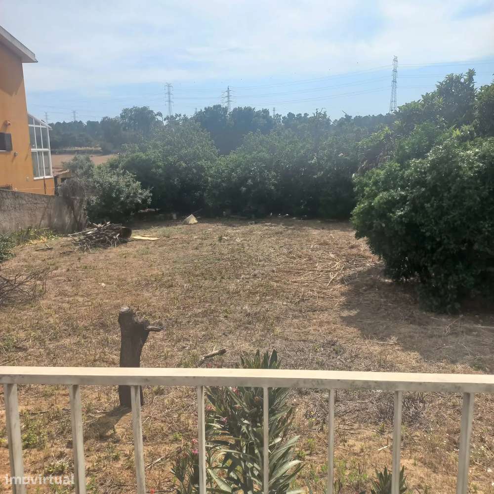 Terreno à Venda em Flor da Mata - Grande imagem: 4/4