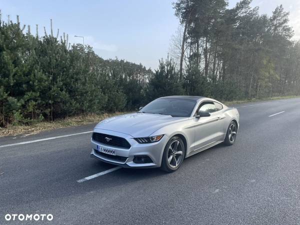 Ford Mustang 3.7 V6 - 5