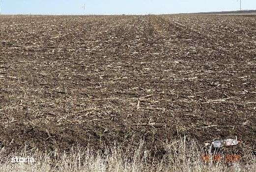 Teren extravilna Cota parte 1/16, CObadin, ID: R2782865 - Imagine principală: 5/9