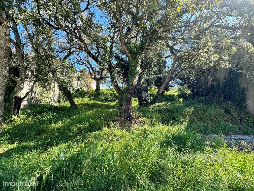Lote Moradia Venda Sesimbra-9