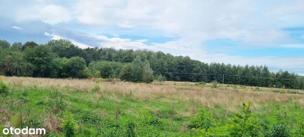 kompleks działek budowlanych pod Mszczonowem-9