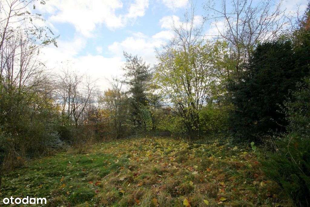Wspaniała działka budowlana w gm. Paszowice - Pełny obrazek: 5/8