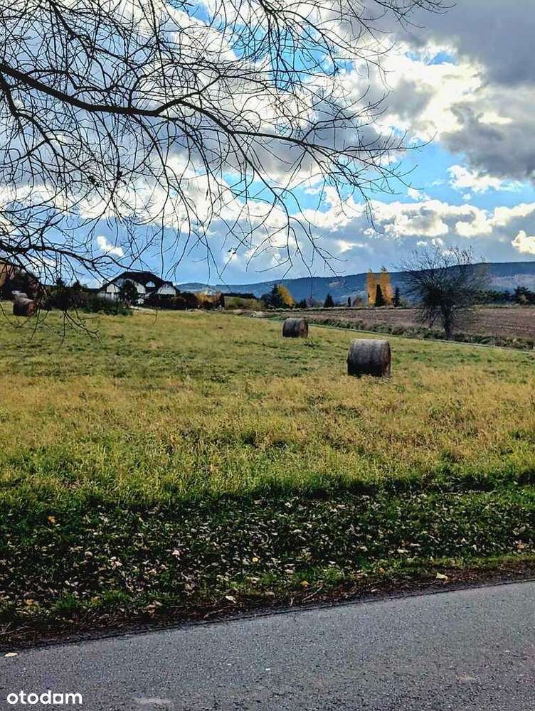 Działka w super lokalizacji - Stary Wielisław-7