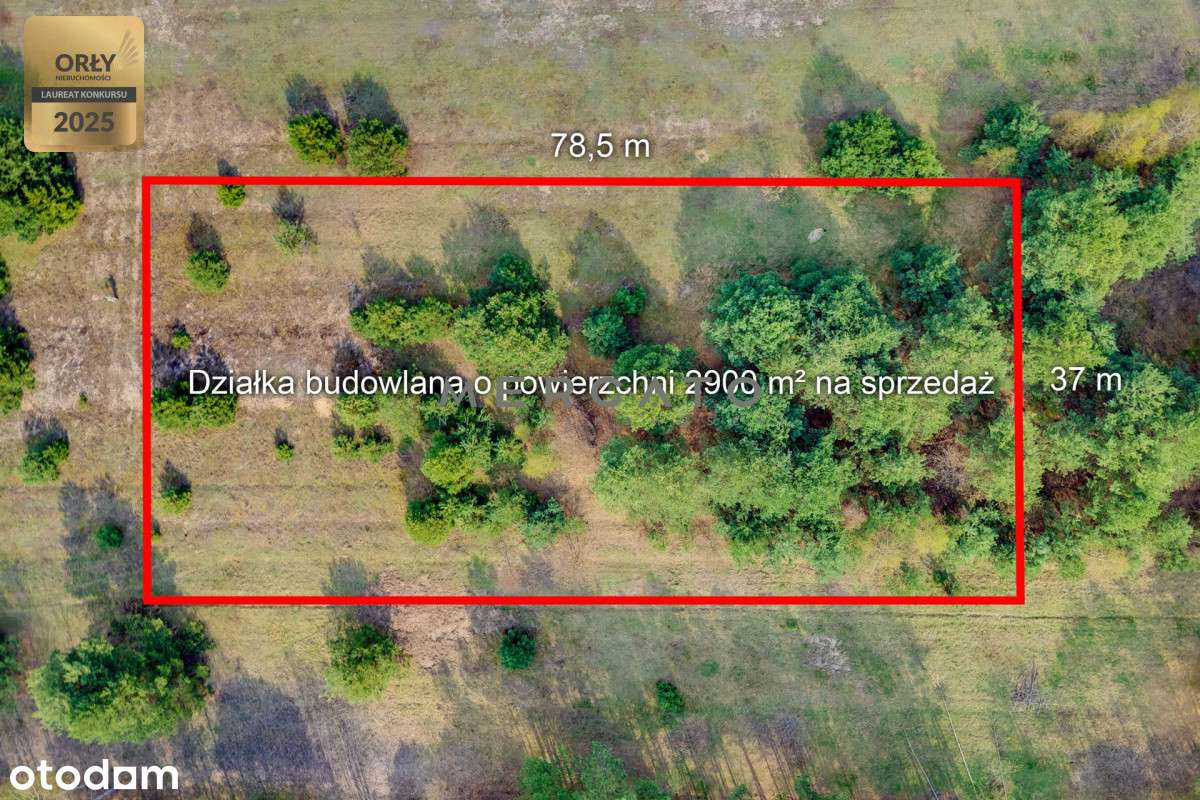 Działka Regut 2900 m2-12