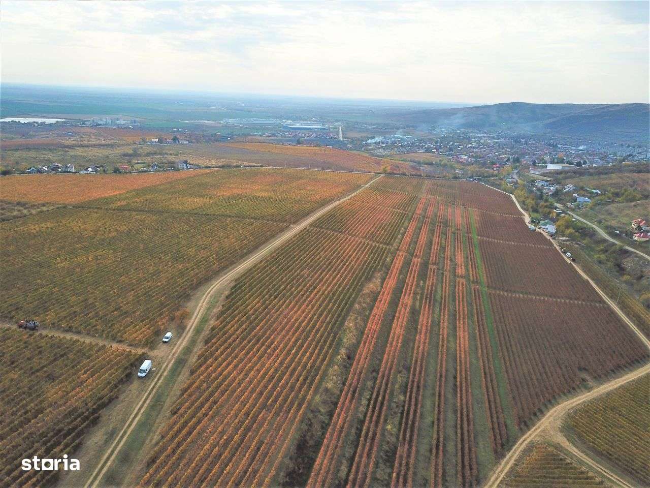 Podgorie de vita-de-vie nobila cu conac boieresc - Imagine principală: 2/10
