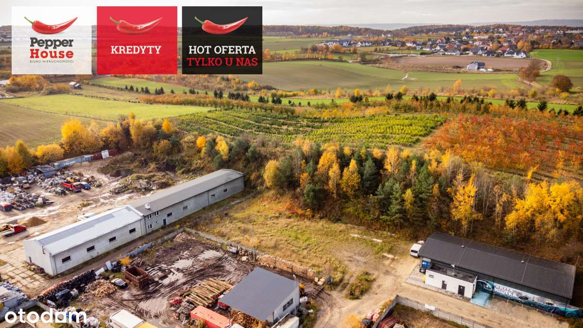 Działka handlowo-usługowa w Kosakowie - Pełny obrazek: 5/13