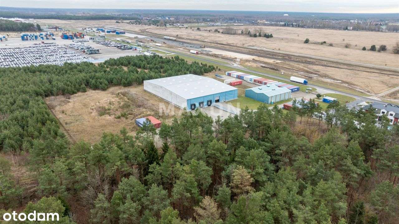 Hala magazynowa / Woc / Doki / pow. 4000 Mj - Pełny obrazek: 2/6