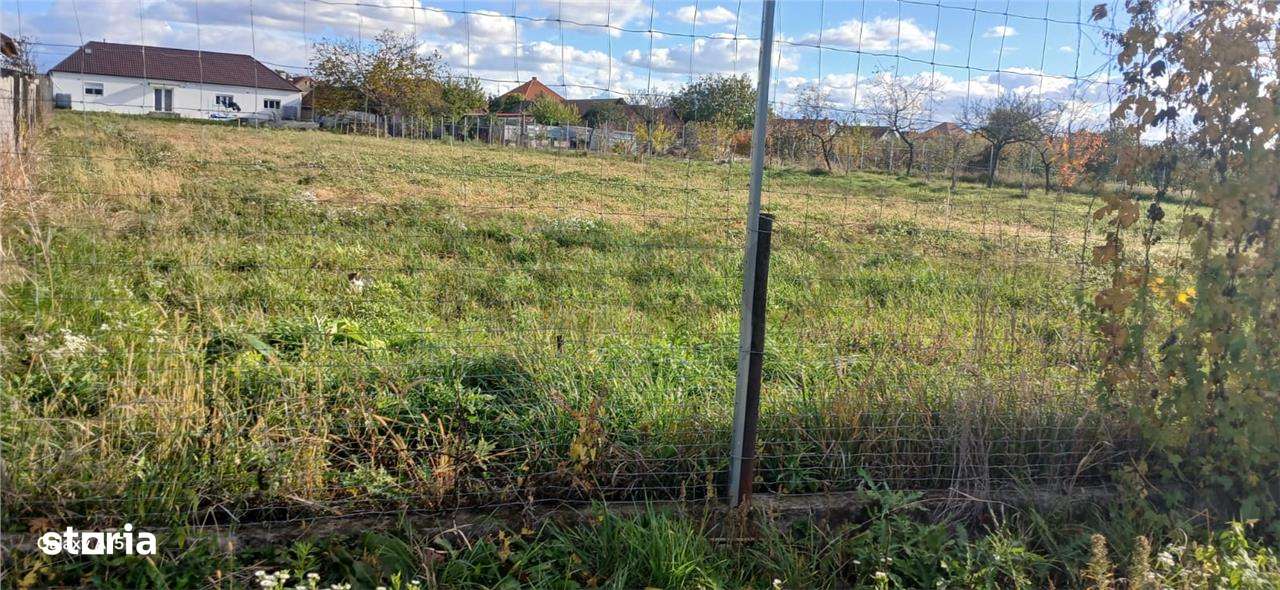 Teren intravilan Biharia - Imagine principală: 1/3