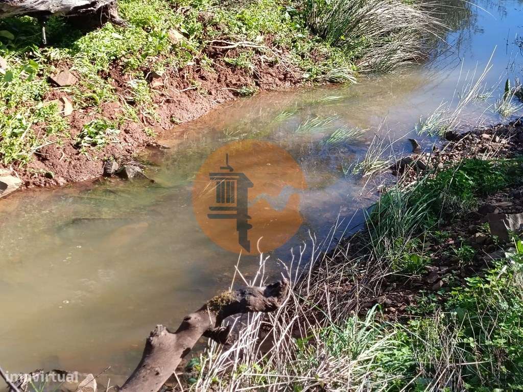 TERRENO RUSTICO COM 21.720 M2 - PRÓXIMO A ALDEIA DO AZINHAL - PIÇAR... - Grande imagem: 3/30