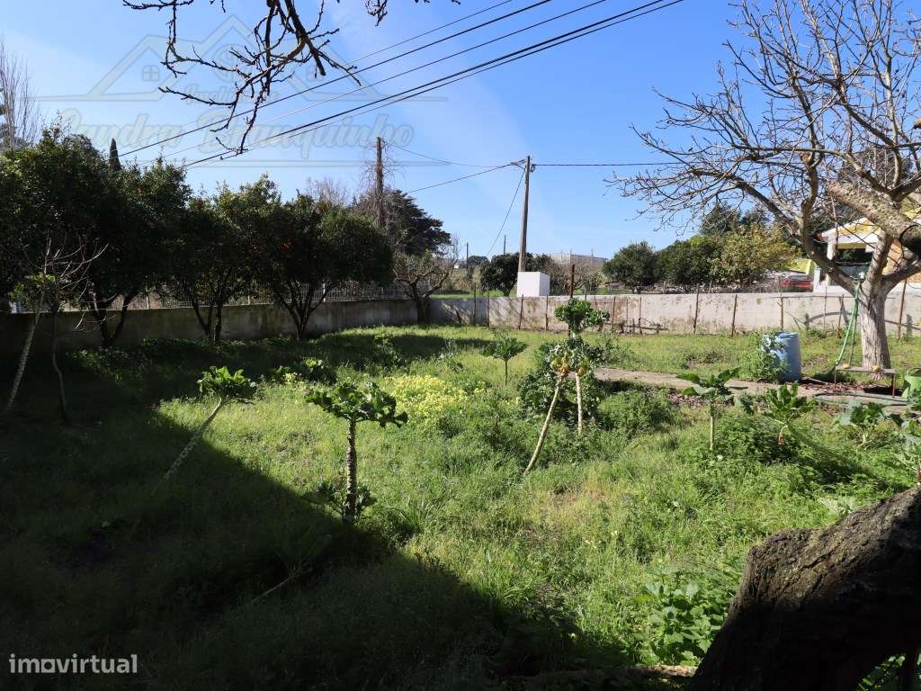 Moradia T3 com PISCINA e terreno com 1200m2-33