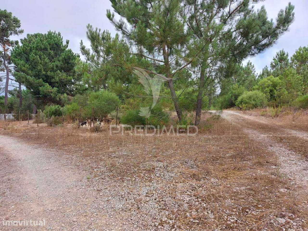 Oportunidade de Investimento - Loteamento em fase de Aprovação - Grande imagem: 3/5