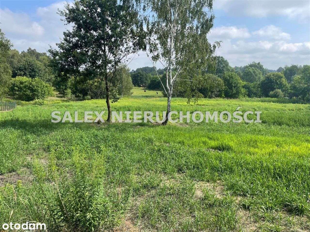 Działki Budowlane Rybnik, Niedobczyce-4297m2-2