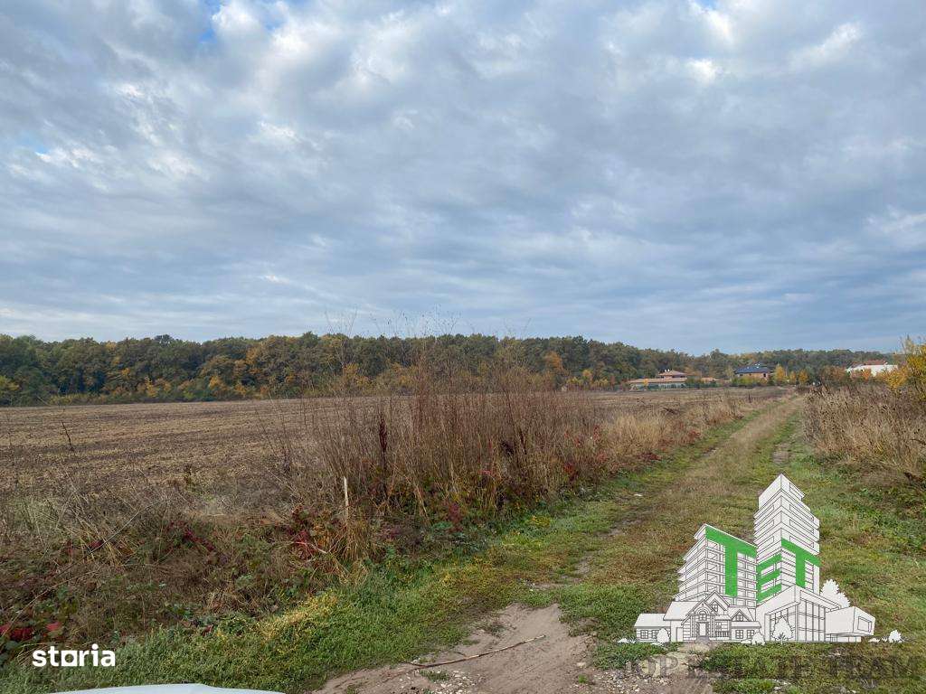 Rate la dezvoltator|Teren cu deschidere la padure - Imagine principală: 4/4