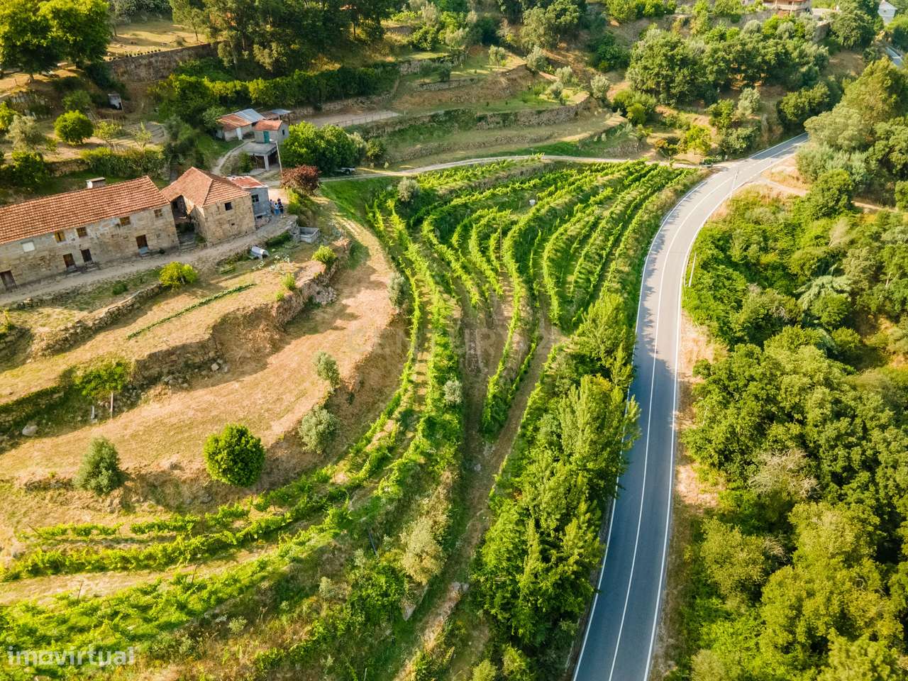 Quinta com Vista Deslumbrante sobre o Rio Douro – Projeto Aprovado par - Grande imagem: 4/28