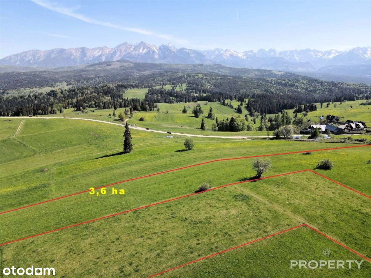 Tatry Łapszanka Rzepiska działka widokowa 3,06 ha - Pełny obrazek: 5/20