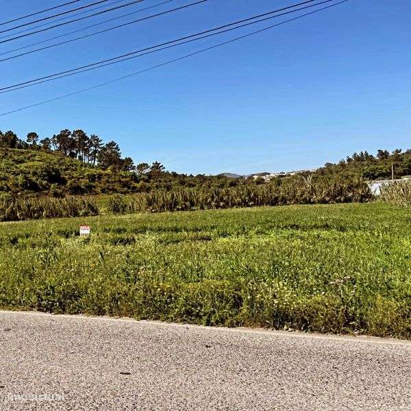 Proprietário vende terreno ( Póvoa da galega) - Grande imagem: 4/7