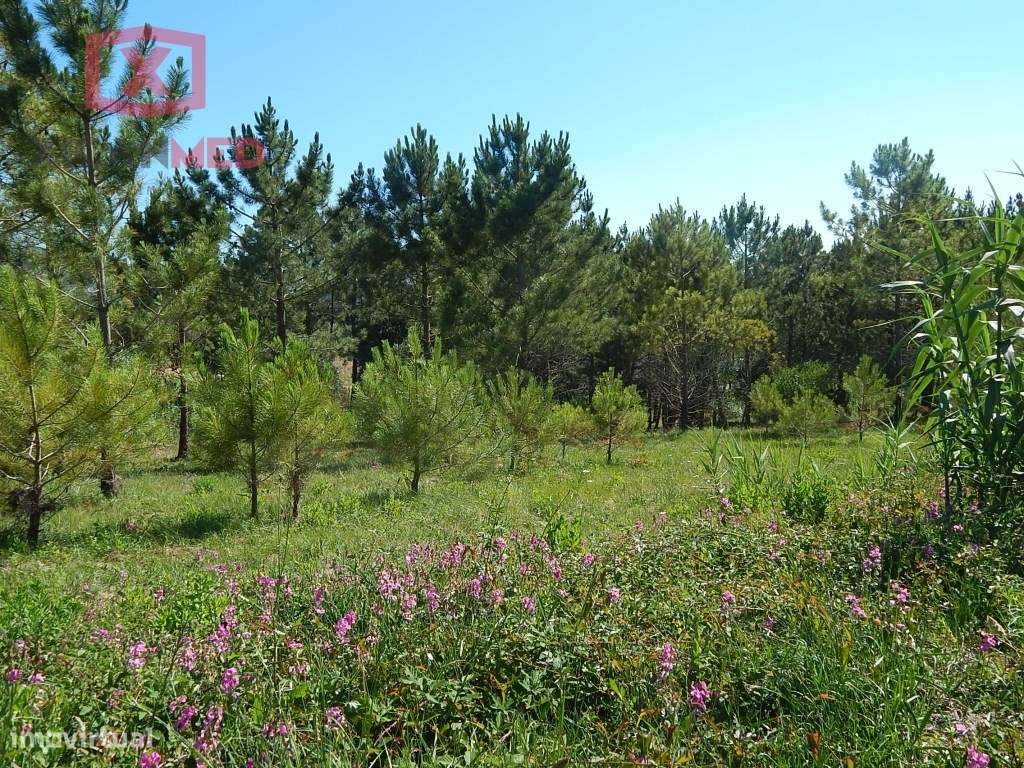 Colares - Grande imagem: 5/16