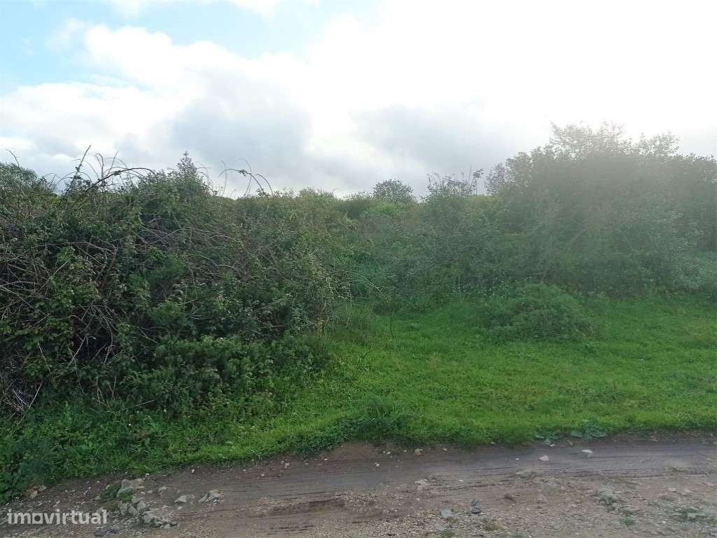 Terreno rústico com plano para 2 Lotes, Tapada da Serra, Vale de Lobos - Grande imagem: 5/20