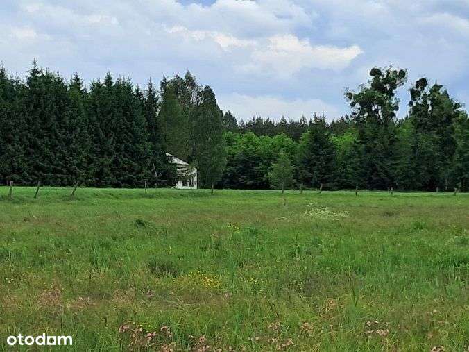 Działka, 10 400 m², Dąg-6