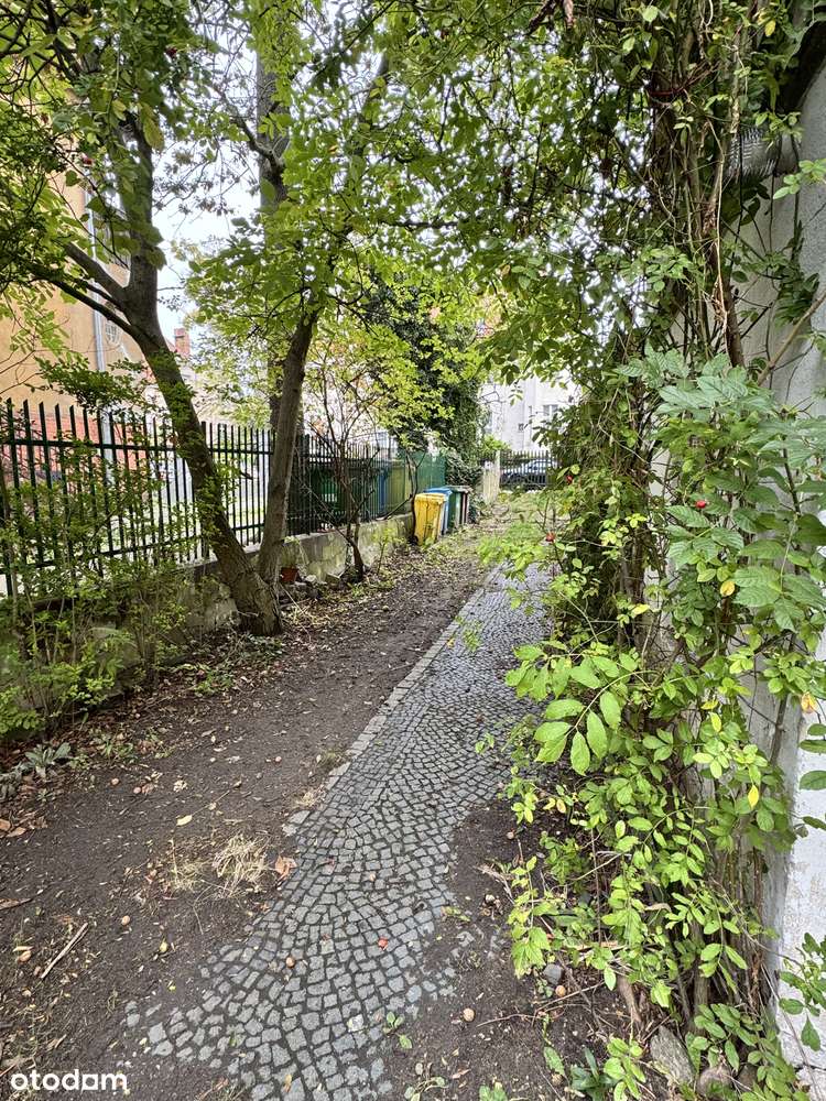 Perełka na Borku,  willowe mieszkanie-15