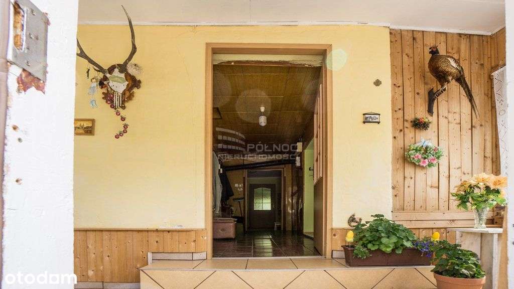 Dom w górach działka 27ar Kamienica powiat Kłodzko - Pełny obrazek: 4/13