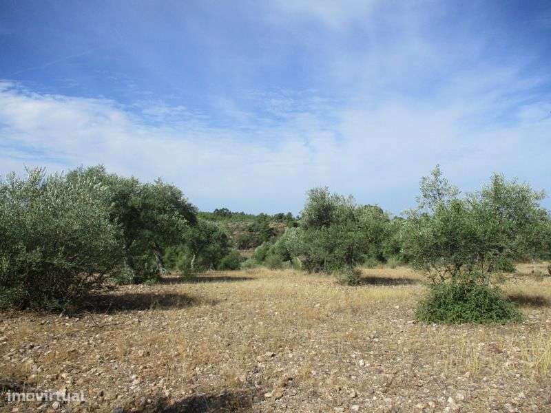 Terreno - Grande imagem: 2/16