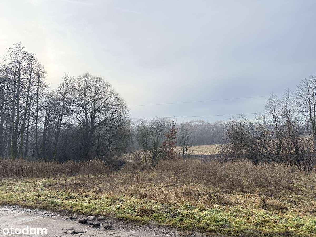 Płaska działka budowlana 7 arów - Kocmyrzów - Pełny obrazek: 2/9