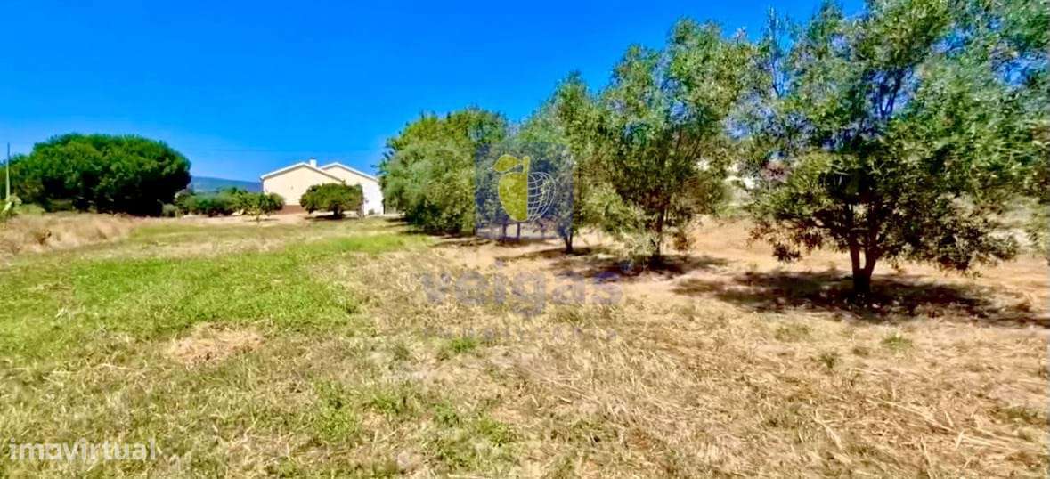 Terreno Urbano com 3.695 m2 em Alcoentre, com viabilidade de construçã - Grande imagem: 4/13