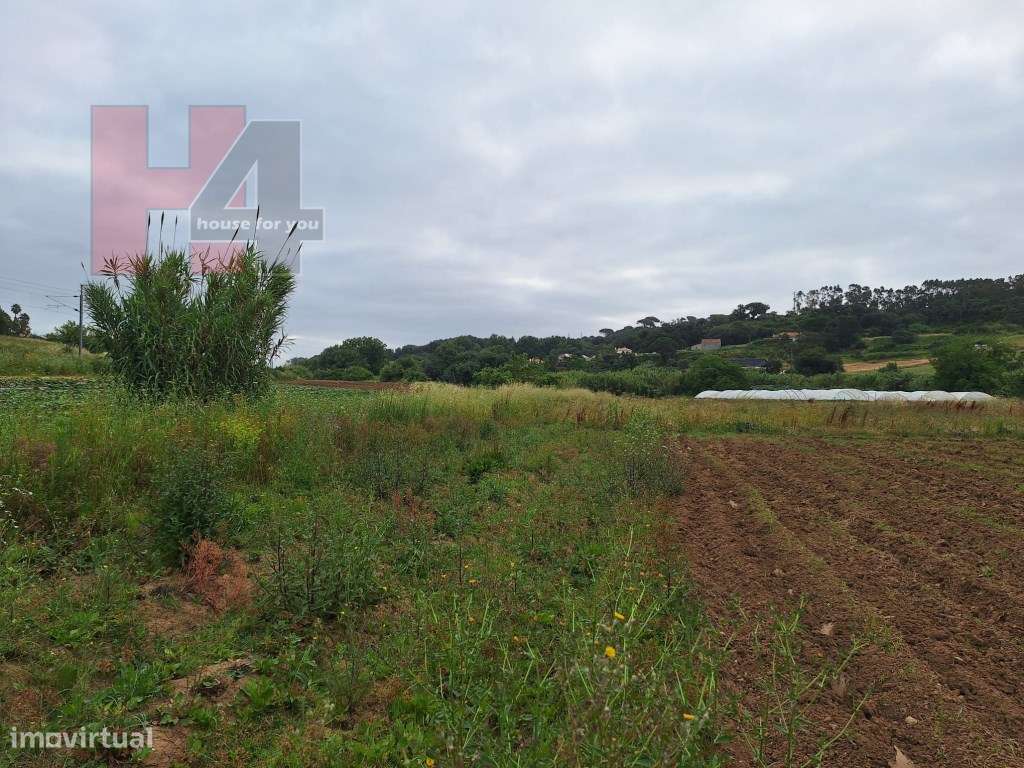 Terreno Rústico Plano com 15.560 m², 3 Poços e Eletricidade - Sapat...-8