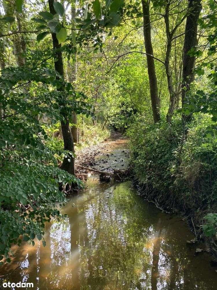 Magiczne siedlisko z lasem, rzeczką i historią-15