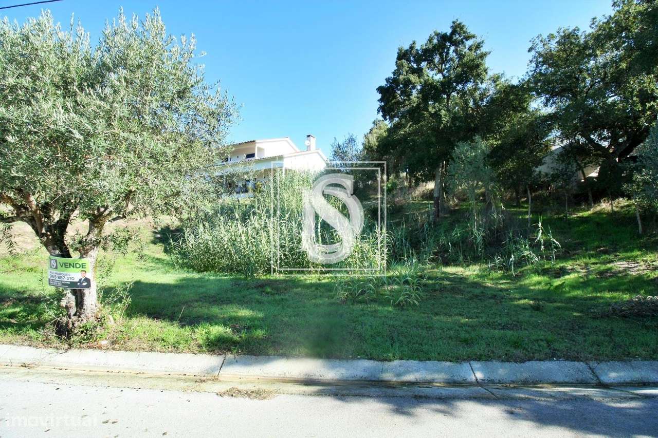 Terreno Não definido em Nossa Senhora da Piedade - Grande imagem: 4/4