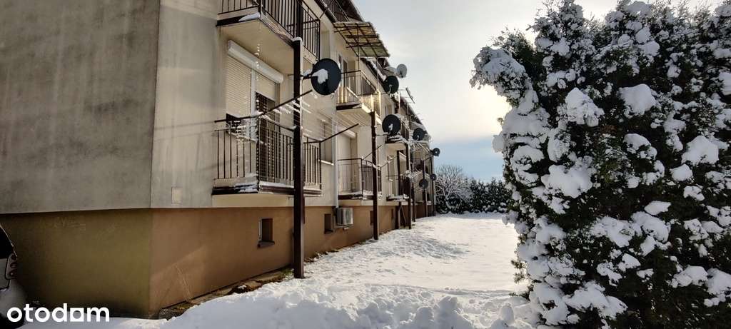 Mieszkanie - 1p Tarnowiec 57m2-Garaż-Cicha okolica - Pełny obrazek: 4/20