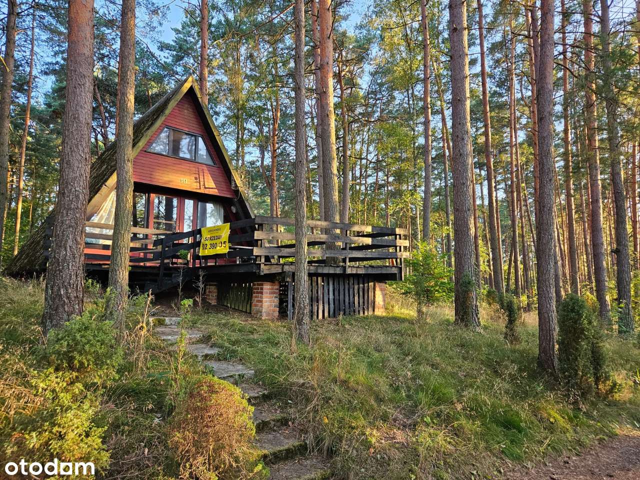 Domek letniskowy BRDA w lesie nad brzegiem jeziora - Pełny obrazek: 5/20