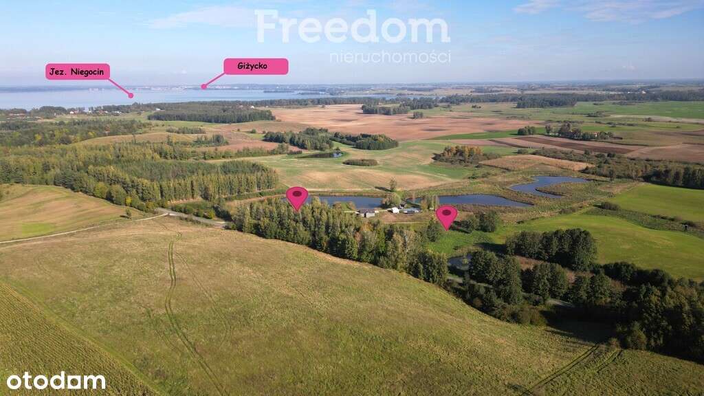 Działka z własnym stawem na Mazurach - 3769 m² - Pełny obrazek: 3/17