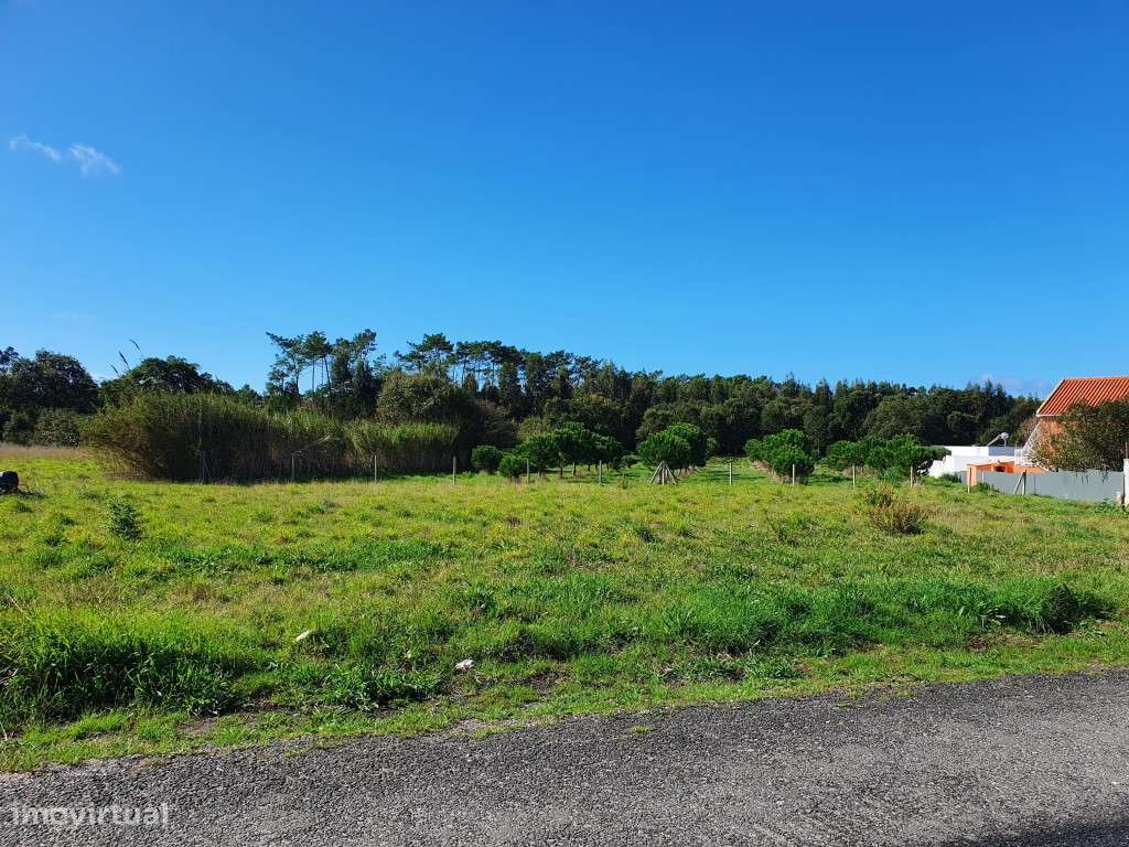 Terreno de 8.293m2 na Tornada - Caldas da Rainha - Grande imagem: 2/12